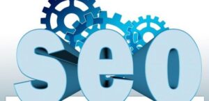 Why Do I Need SEO Services for My Business?