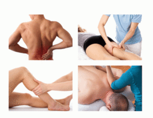 A Physiotherapy Career