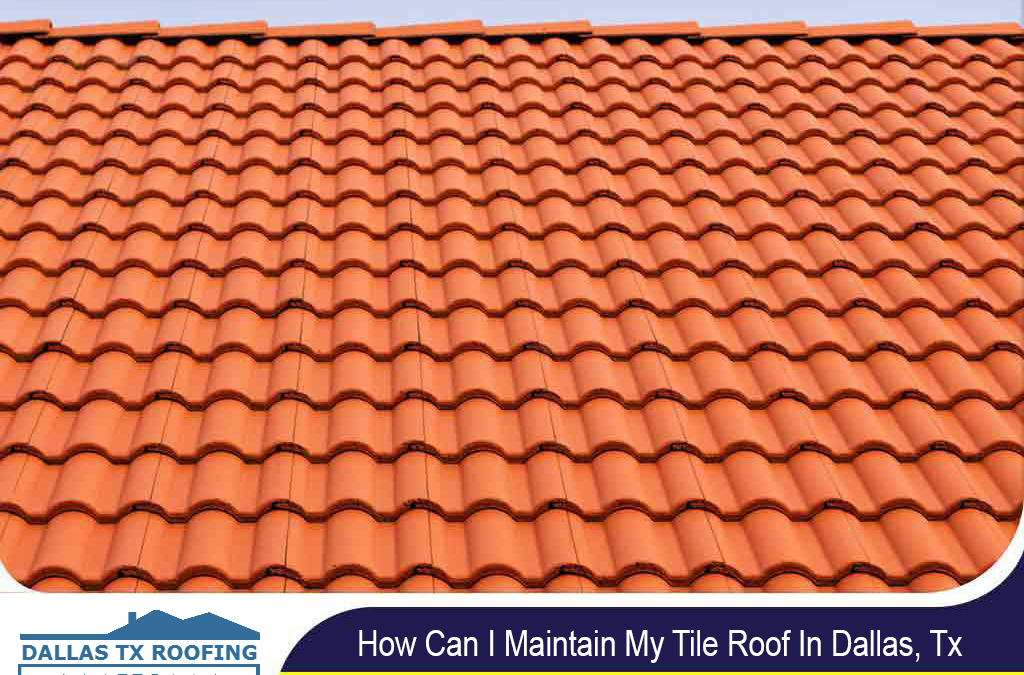 How Can I Maintain My Tile Roof In Dallas, Tx