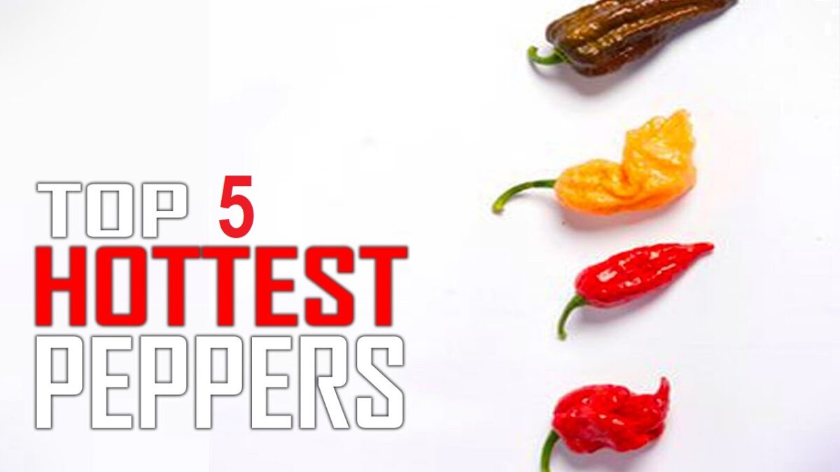 Top 5 Hottest Peppers In The World [2021 Update]