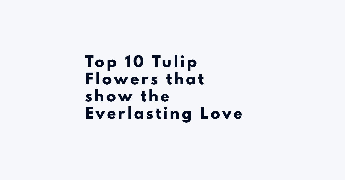 Top 10 Tulip Flowers that show the Everlasting Love