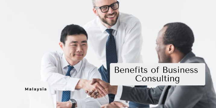 How Can a Business Consultant Help You?