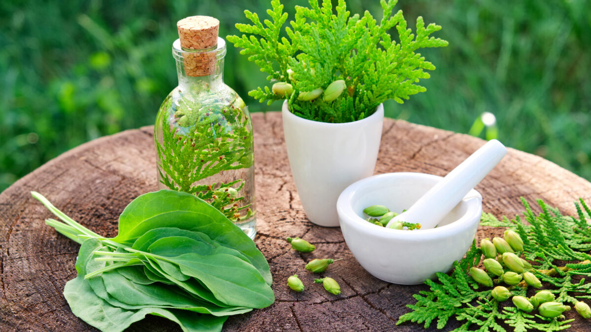 Tips For Purchasing the Best Herbal Medicine For Health Problem
