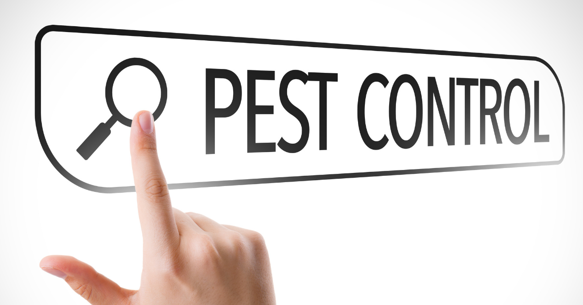 The best solutions to pest control auburn, WA