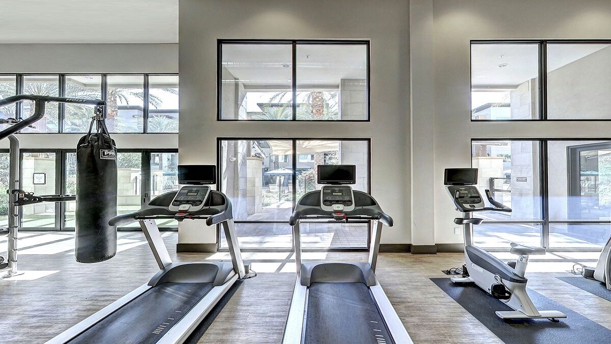 Budget-Friendly Treadmills for At-Home Gyms