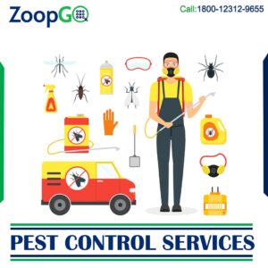 pest control service 