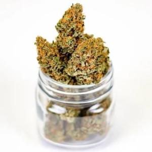 Marijuana pot weed