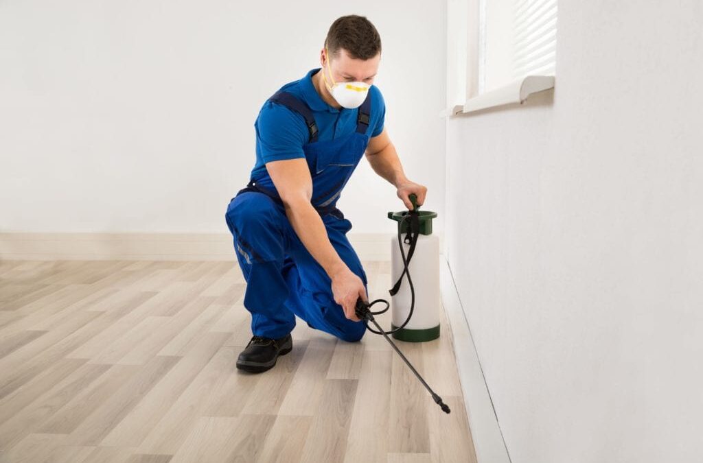 10 Ways to ensure that you have hired the right pest removal services