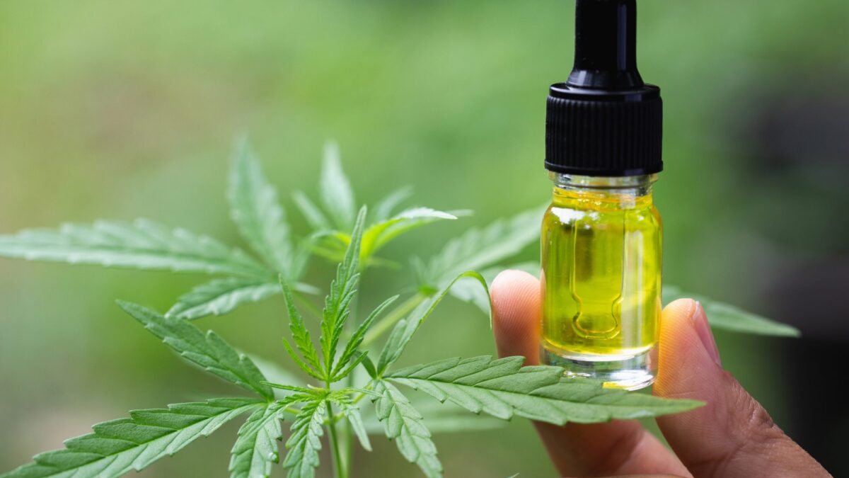 Using CBD Oil for Pain Management? Watch Out for Withdrawal