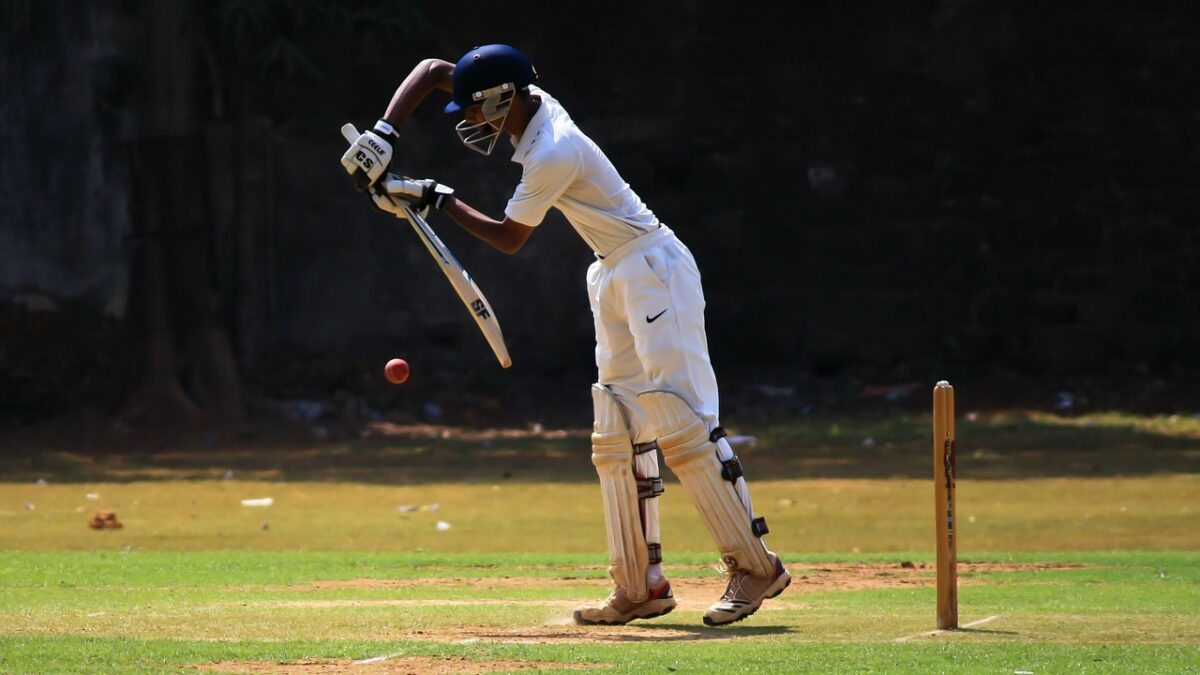 Learn here about how to play cricket