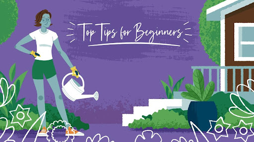 10 Top Gardening Tips for Beginners