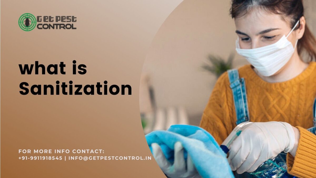 What is sanitization? All you need to know!