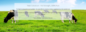 Bovine Colostrum for Immune System Health Benefits