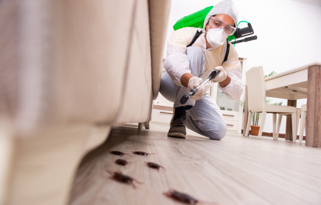 Controlling Pests With Effective Pest Control Services