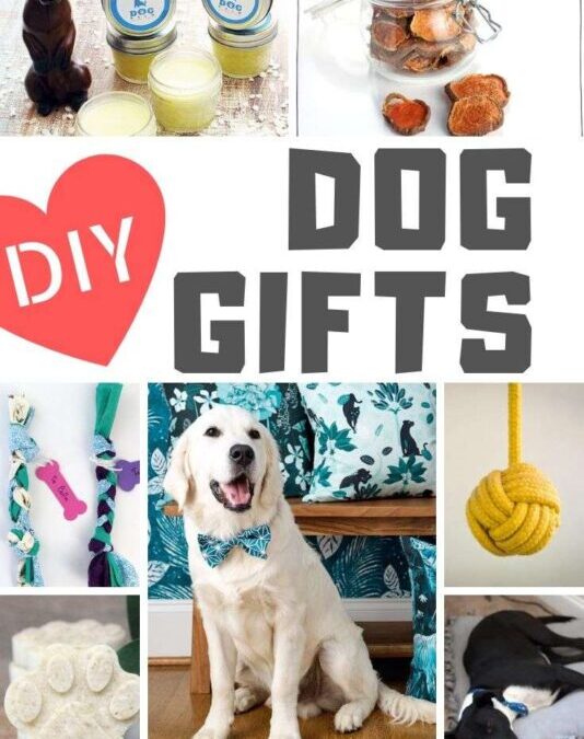 DIY Ideas for Your Dear Puppy