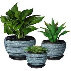 What to choose clay or plastic pots for plants?