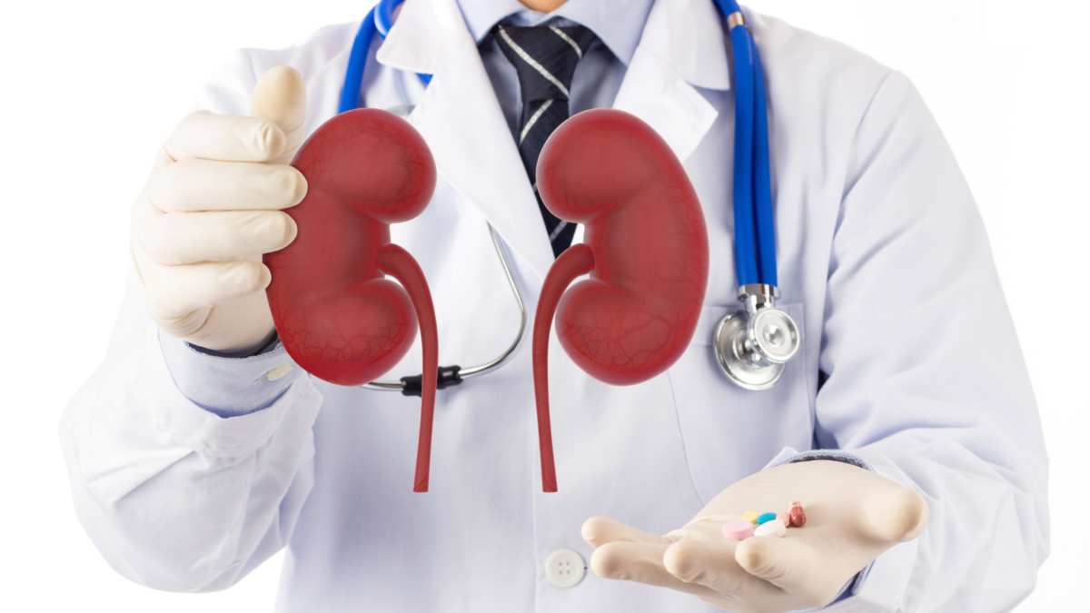 Chronic Kidney Disease | Kidney Transplant Physician In Kolkata