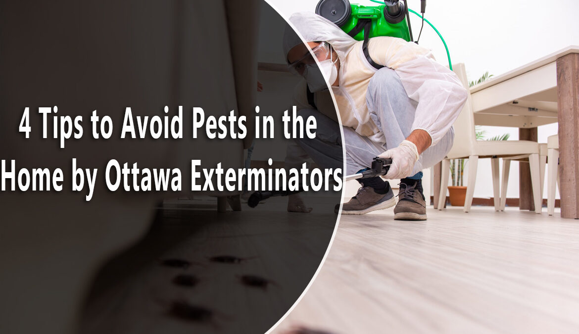 4 Tips to Avoid Pests in the Home by Ottawa Exterminators