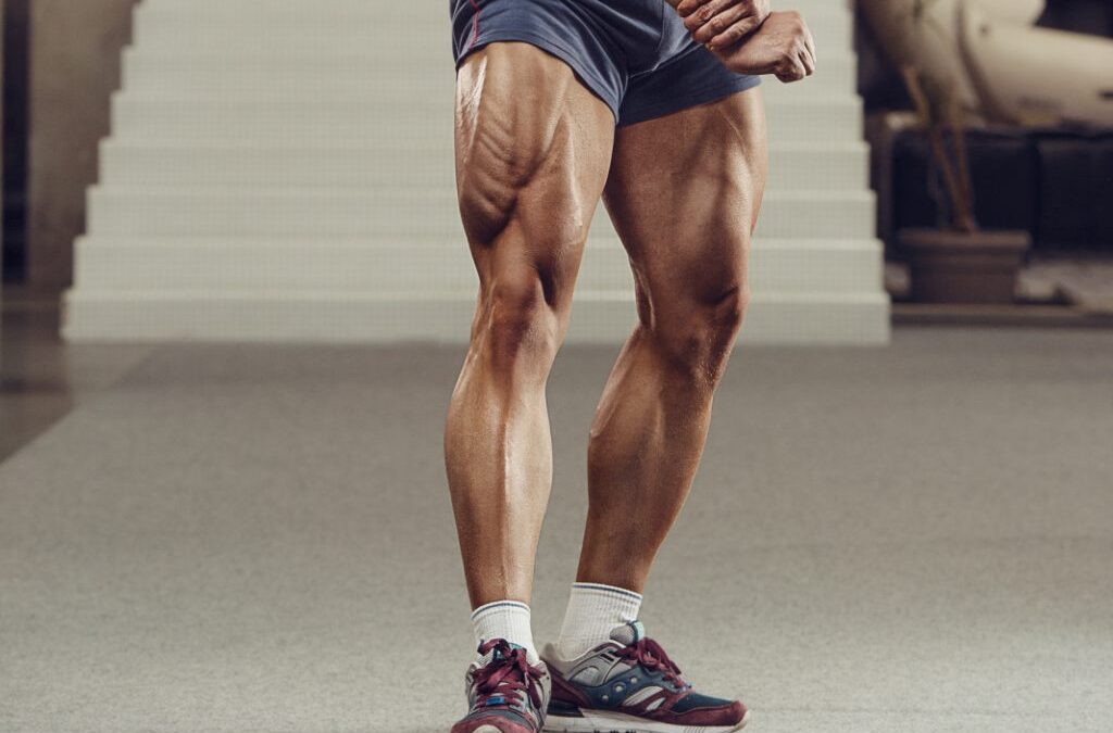 Quadriceps Muscles: Structure, Functions, Exercises And More