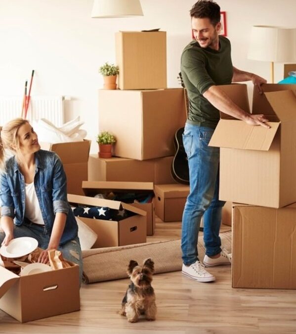 Movers And Packers In Ajman | Allied Home Movers
