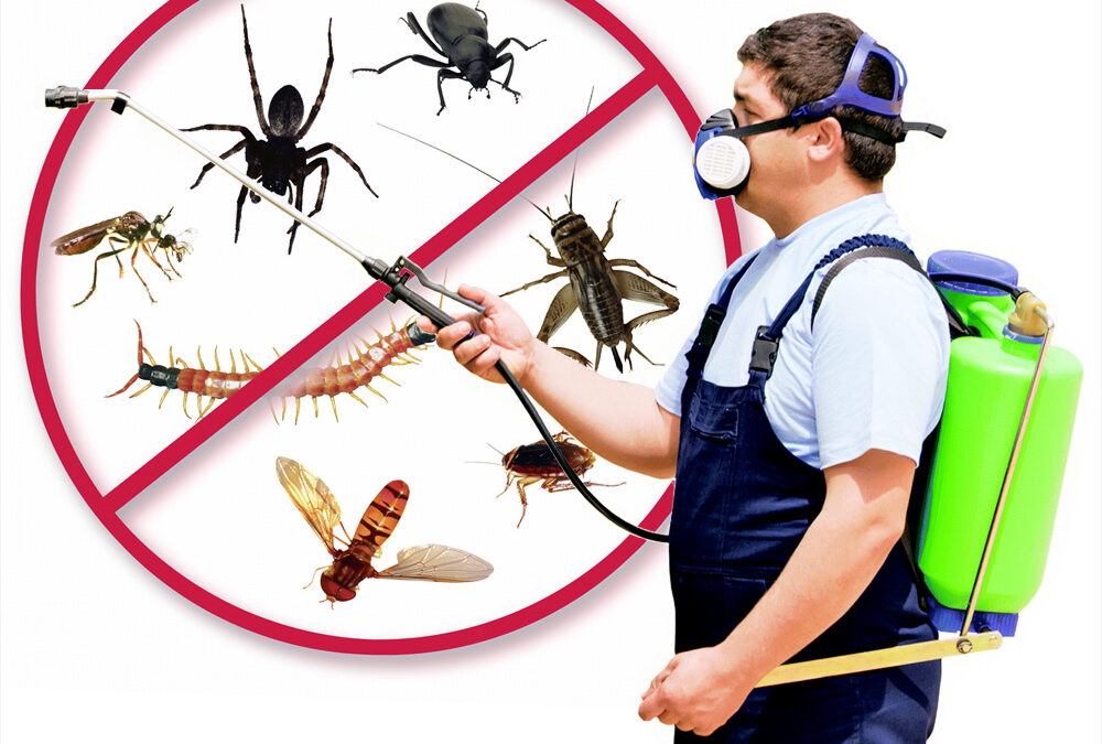 Tips On Choosing A Pest Control Services Company