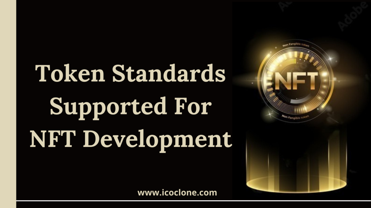 Token Standards Supported For NFT Development