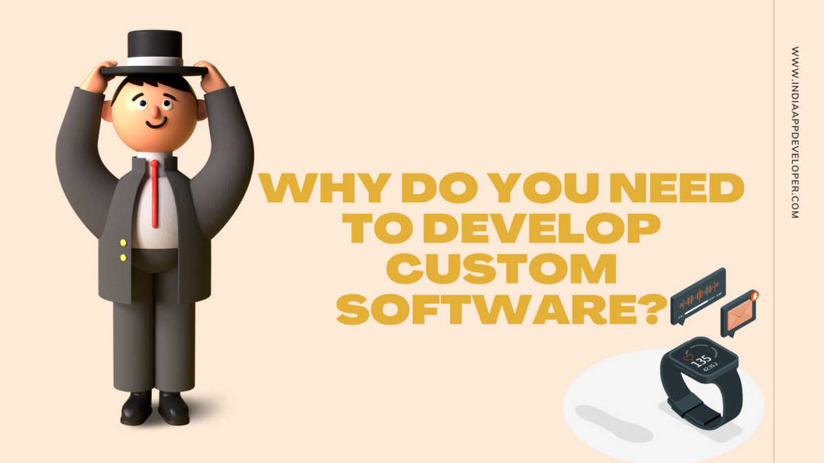 Why do you need to develop custom software?