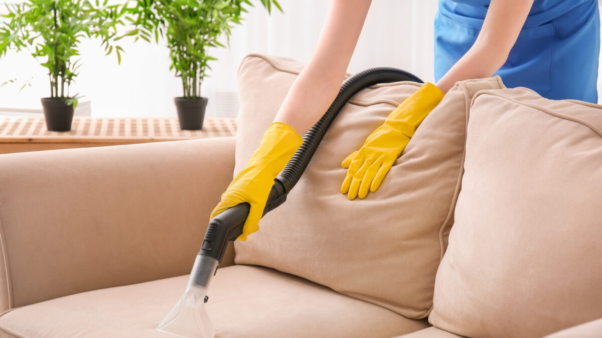 A Guide to Upholstery Cleaning Ideas You Can Follow