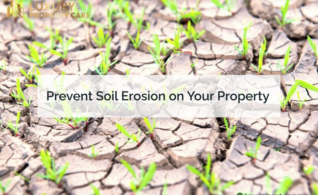 Prevent Soil Erosion on Your Property
