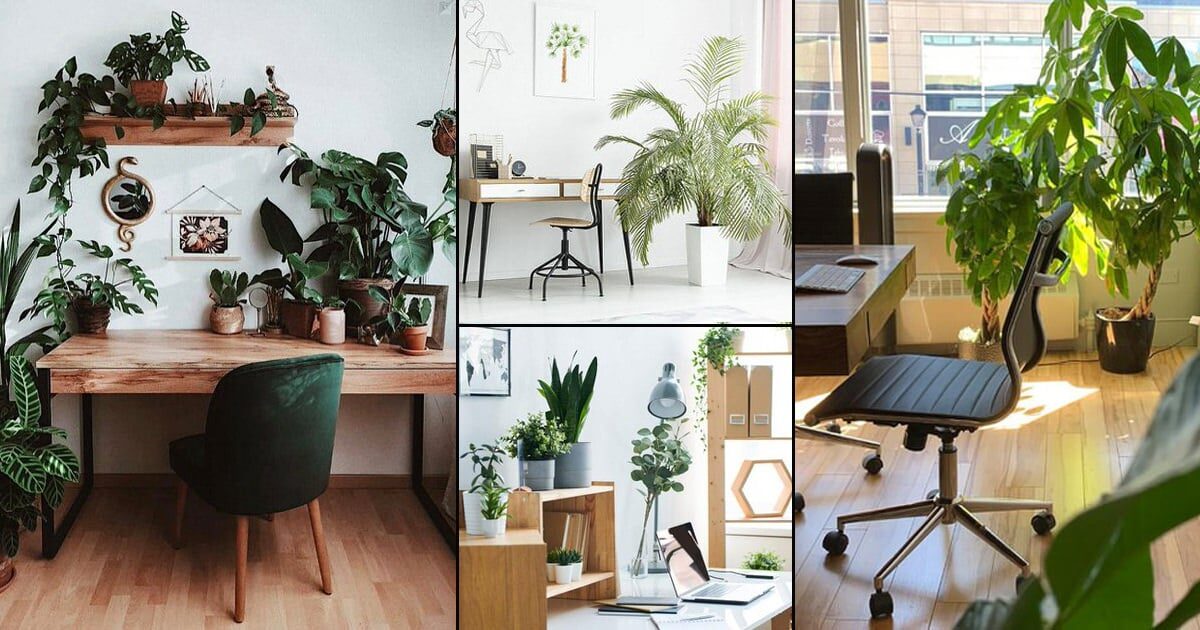How do indoor plants assist with diminishing human wellbeing and wellness issues?