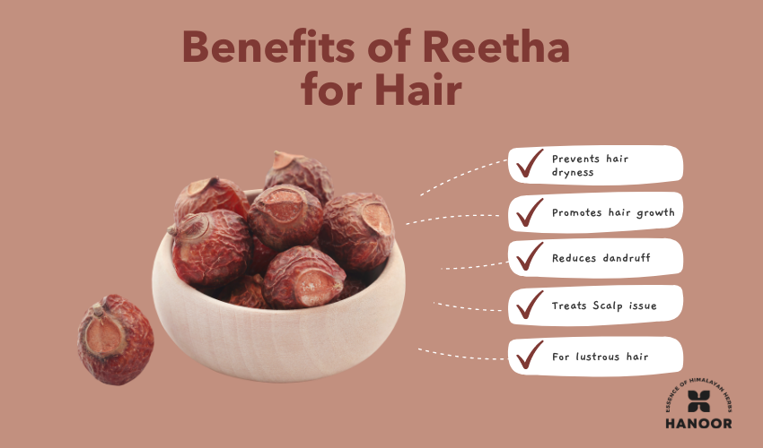Reetha hair benefits