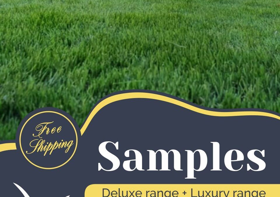 Artificial Grass Samples Benefits and Importance