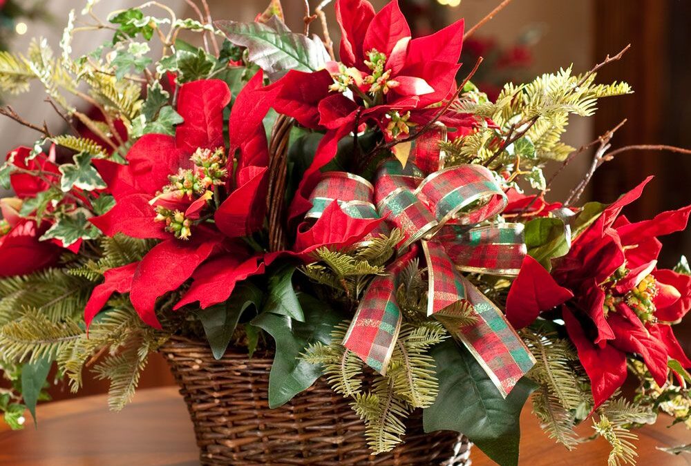 Most Beautiful Christmas Flowers That Should Be On Your Christmas Gift Guide