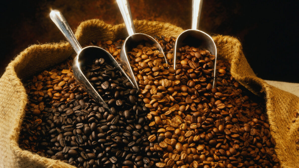Coffee Buying Guide For Coffee Lovers- Read More
