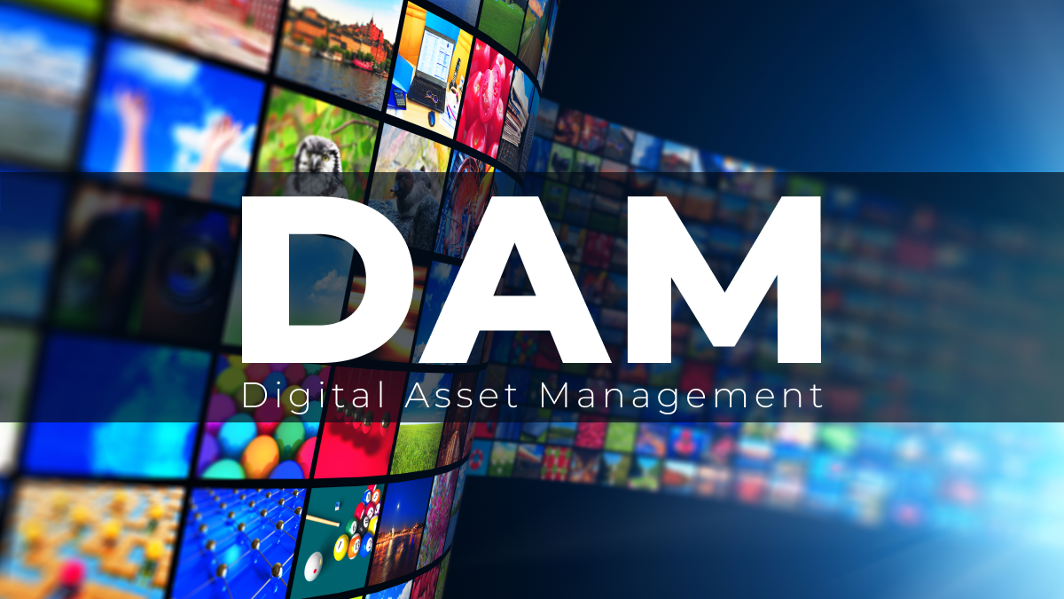 Top 5 DAM(Digital asset management) Software in 2022