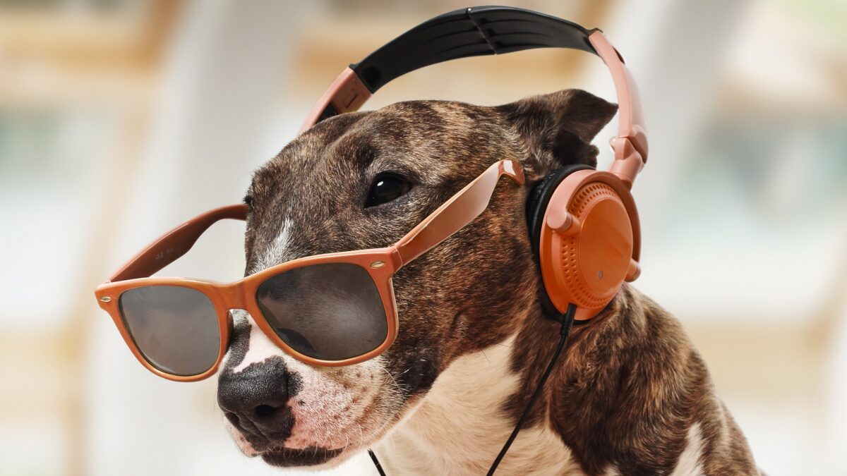 Best music for dogs with Anxiety