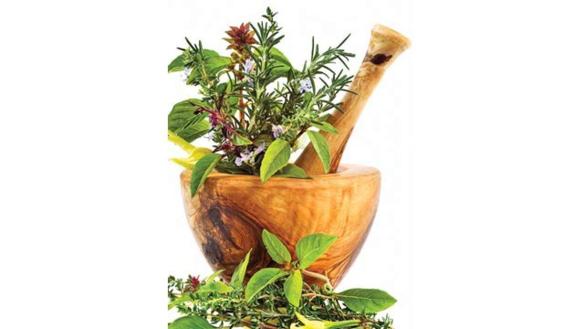 Everything You Need to Know About Ayurvedic Treatment
