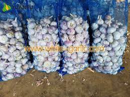 Amazing tips to choose the best garlic sellers