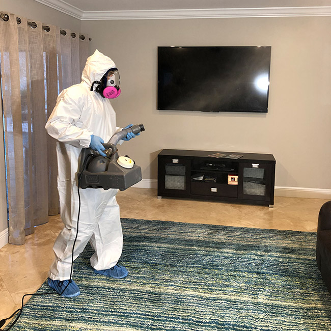 Protecting Your Carpet From Mold