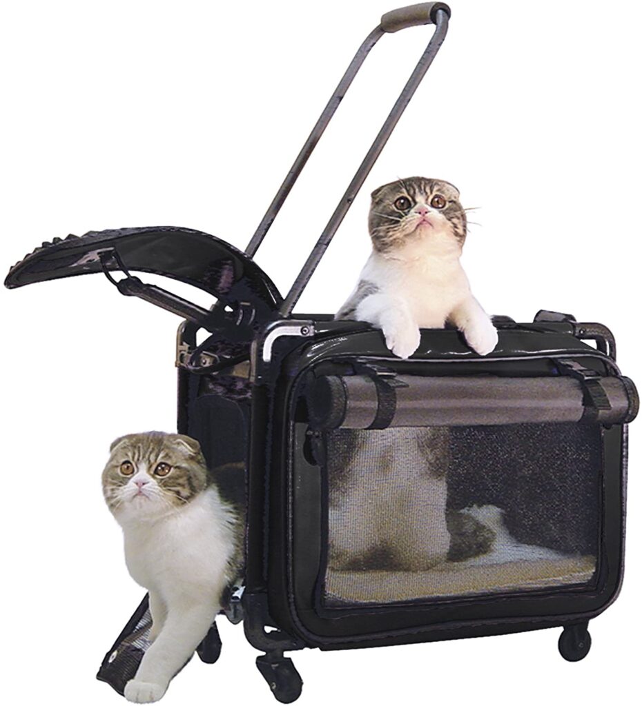 best cat carriers