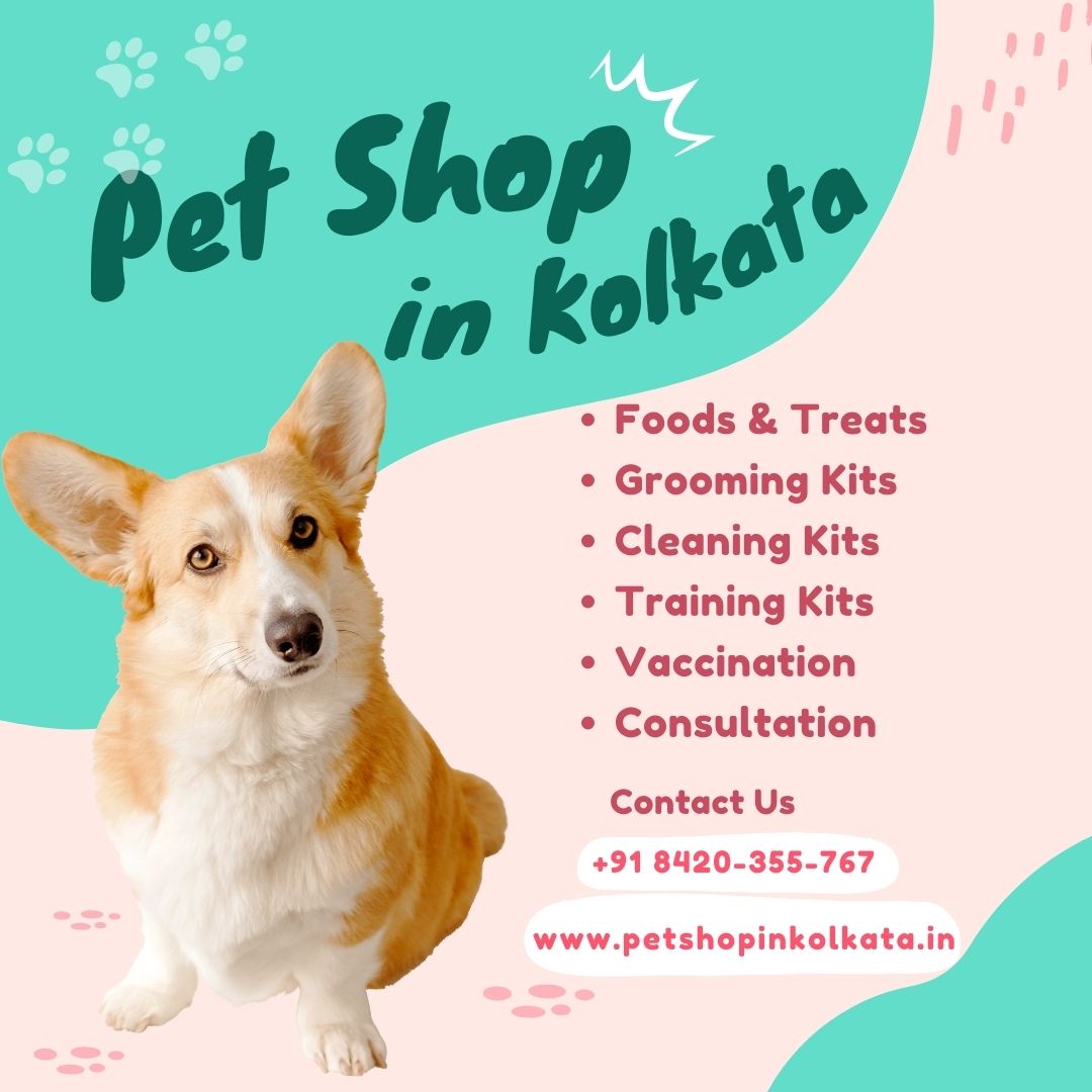 Pet shop in Kolkata