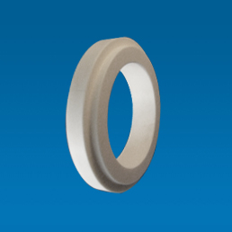 O-ring made from alumina ceramic and silicon carbide 