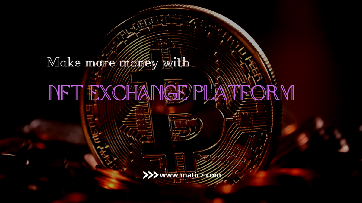 Make more money with the NFT exchange platform