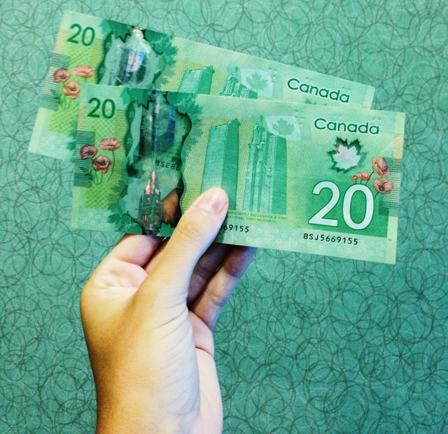  An individual holding multiple twenty-dollar notes