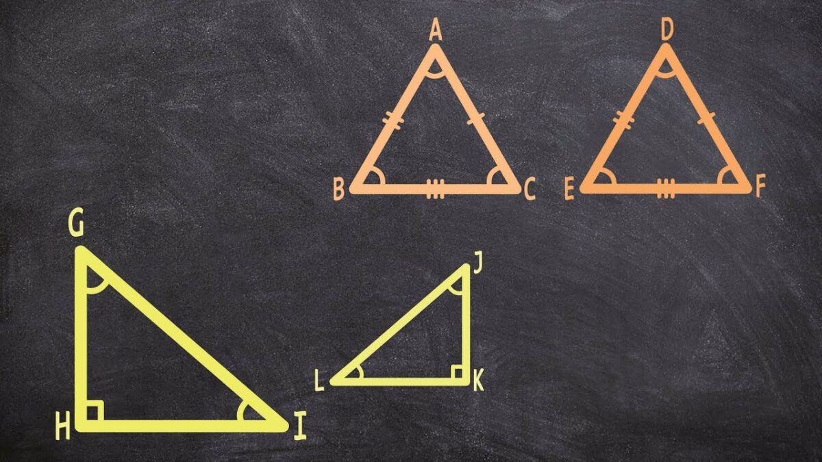 How To Calculate The Height Of An Equilateral Triangle? Simple And Easy Steps!