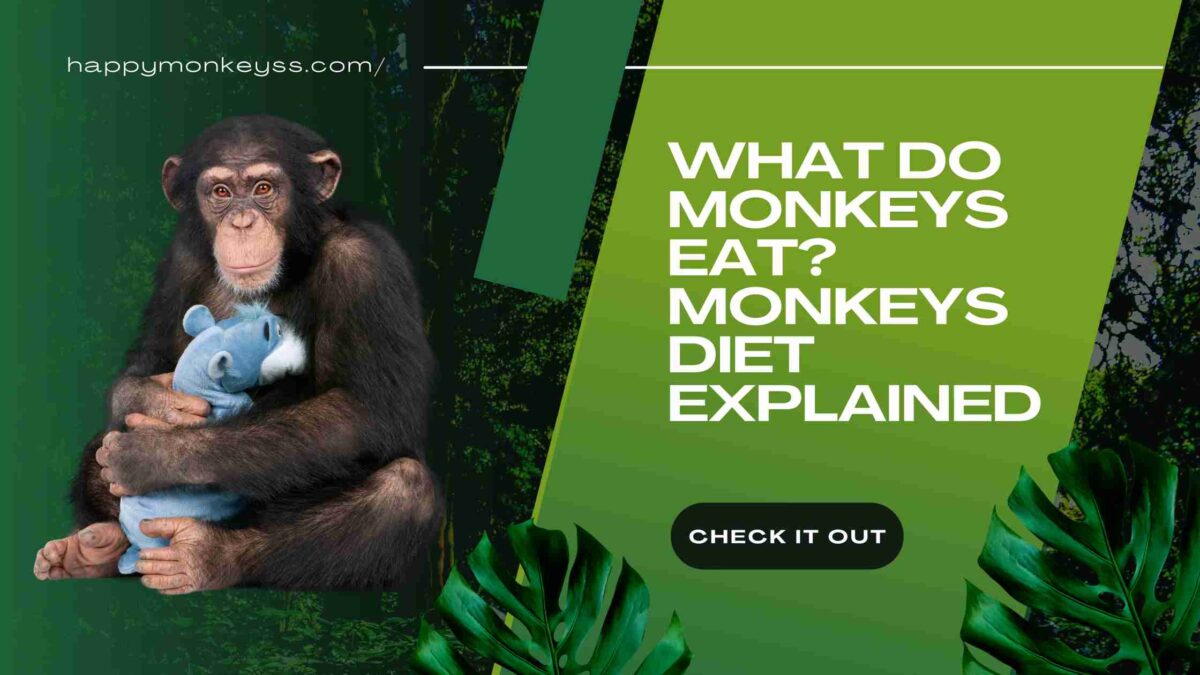 Monkeys eat a variety of foods, but what exactly do they consume?