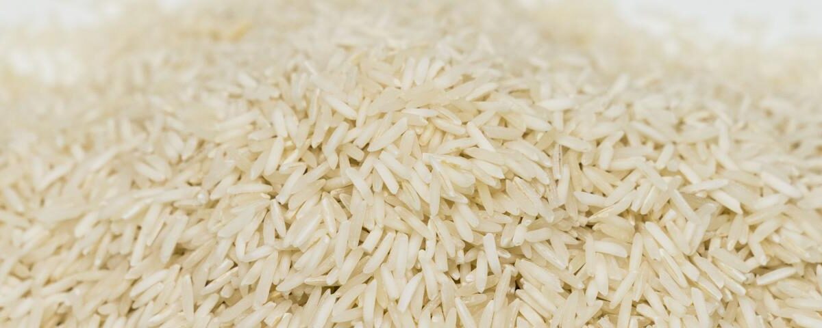 Why Is The Demand For Basmati Rice Suppliers In USA So High?