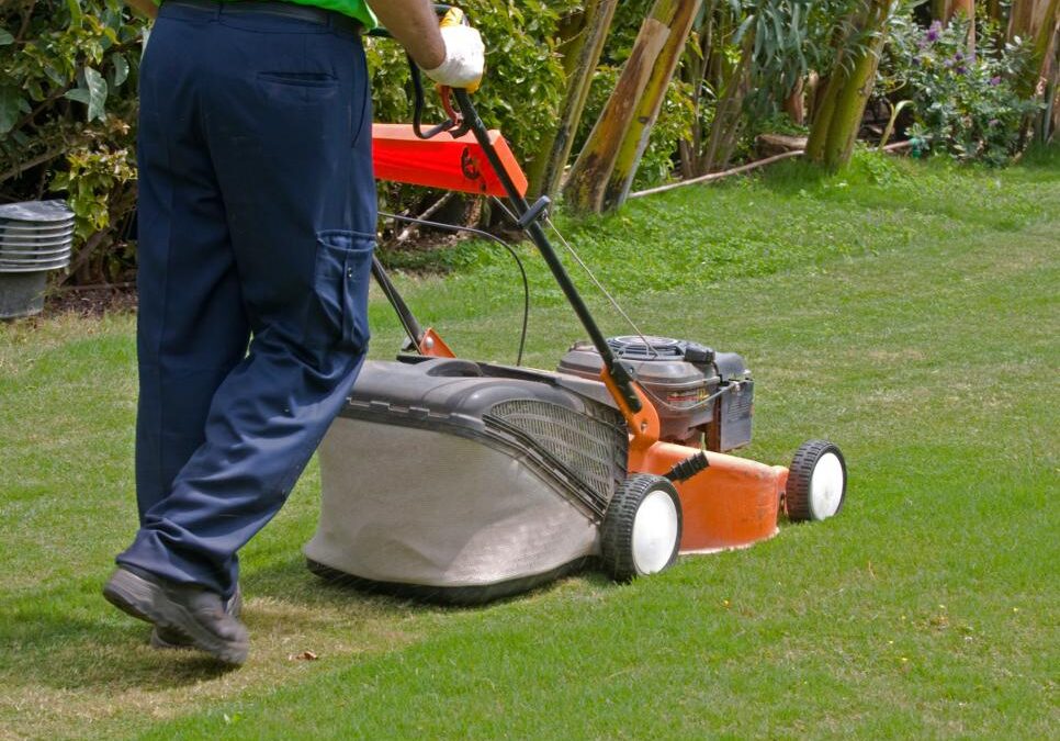 Viable Lawn Mowing Services Are a Need to Maintain the Beauty of the Garden