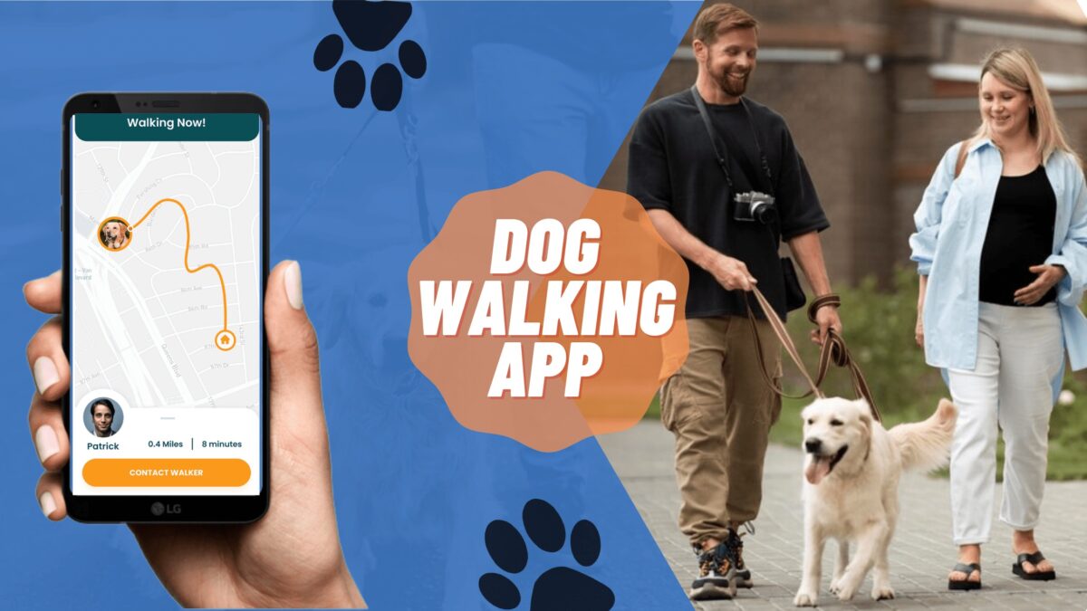On-Demand Dog Walking Apps: Which Dog Walking App Leads the Pack?