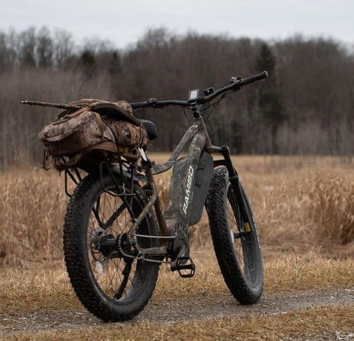 Electric Bike Buying Guide: What to Look in an Fat Tire Electric Bike